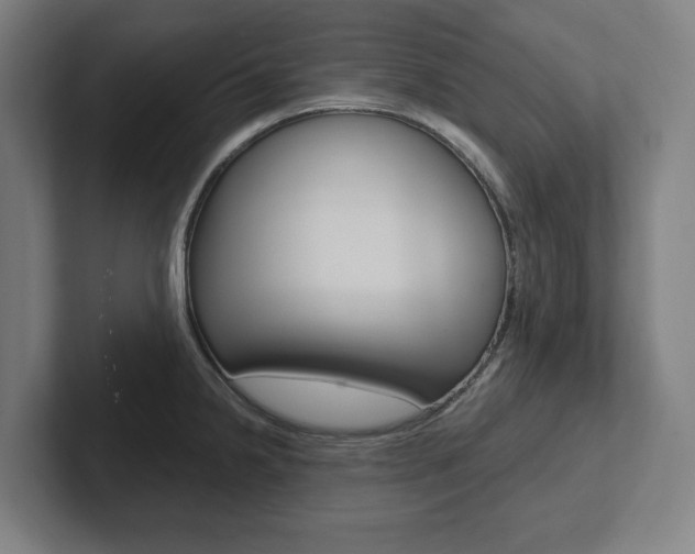 X0000102871238200808181039