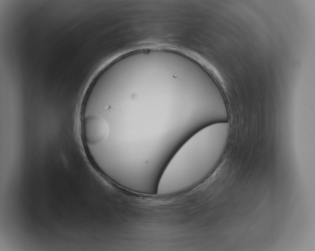 X0000102871239200808181039