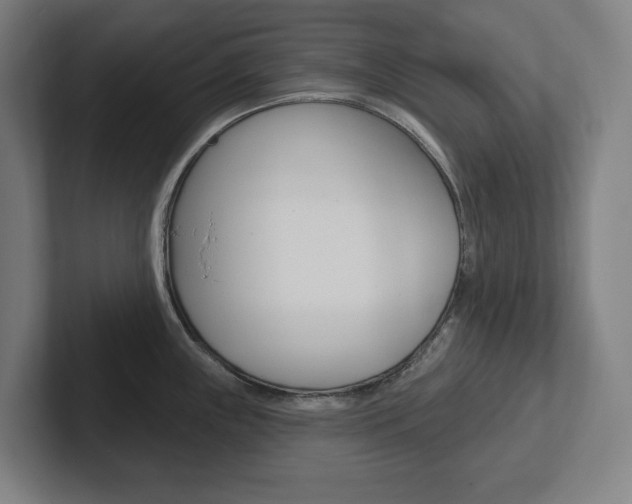 X0000102871243200808181039