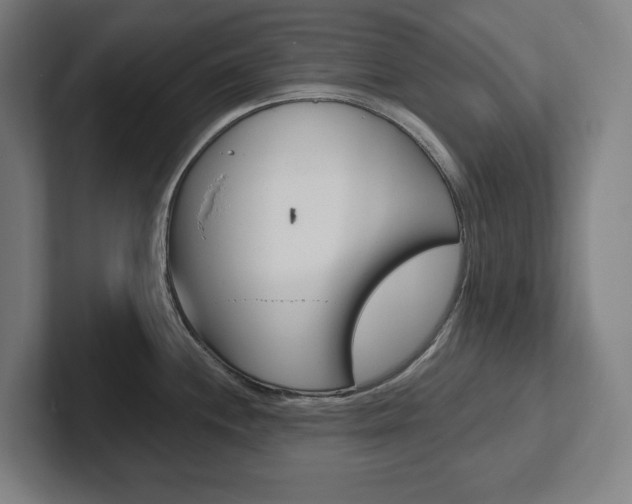 X0000102871244200808181039