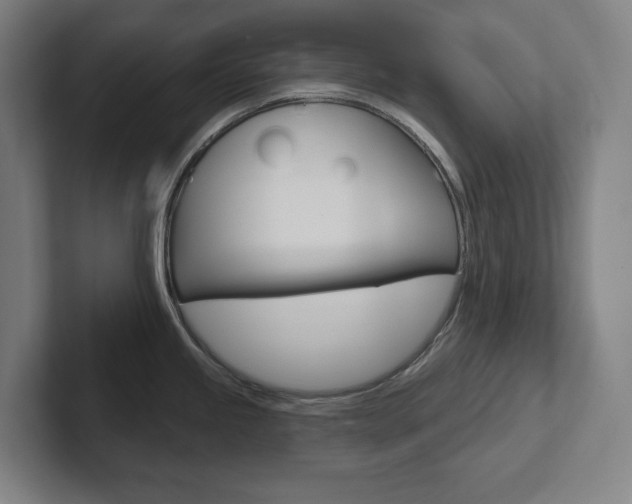 X0000102871245200808181039