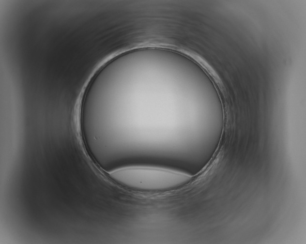 X0000102871246200808181039