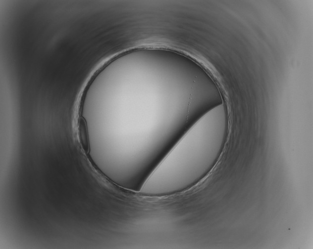 X0000102871248200808181039