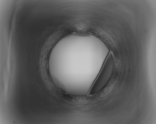 X0000102871249200808181039