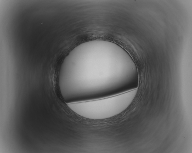 X0000102871250200808181038