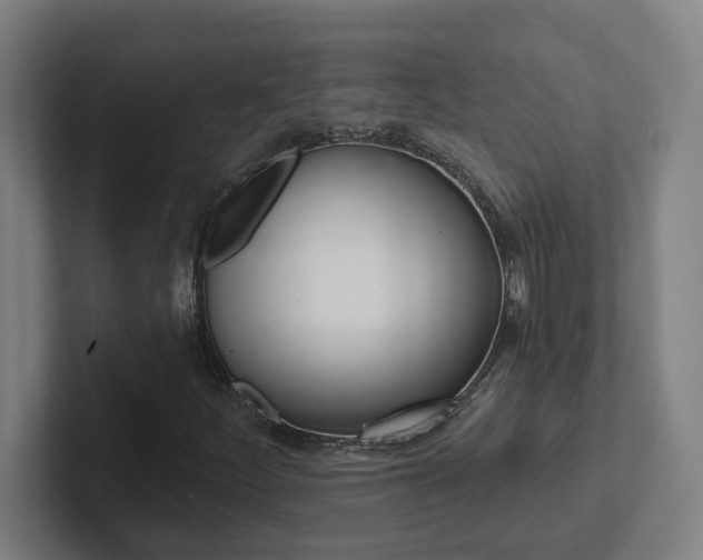 X0000102871252200808181038