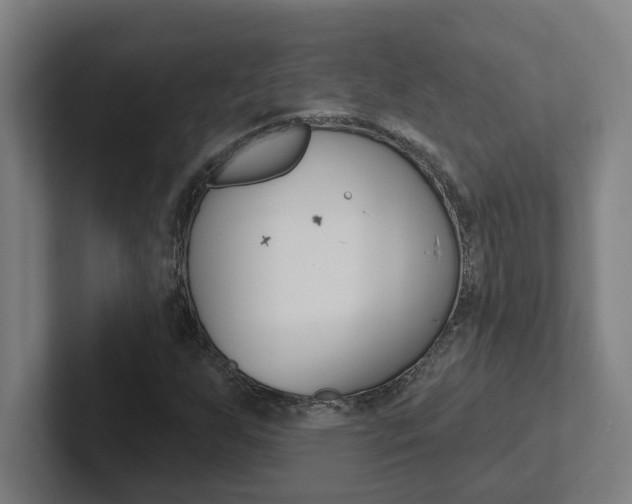 X0000102871255200808181038