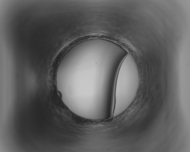 X0000102871256200808181038