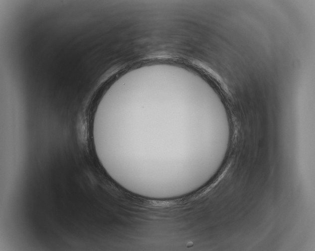 X0000102871258200808181038