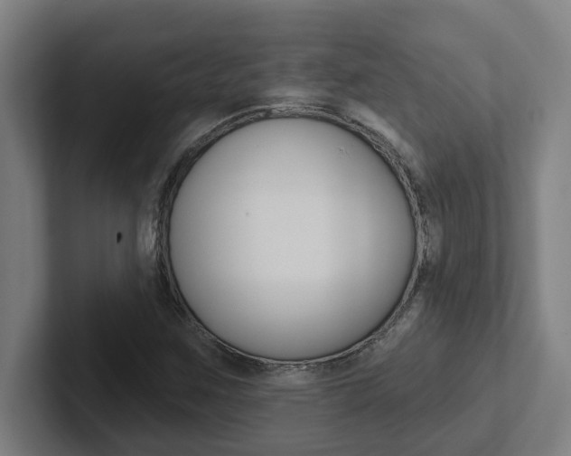 X0000102871259200808181038