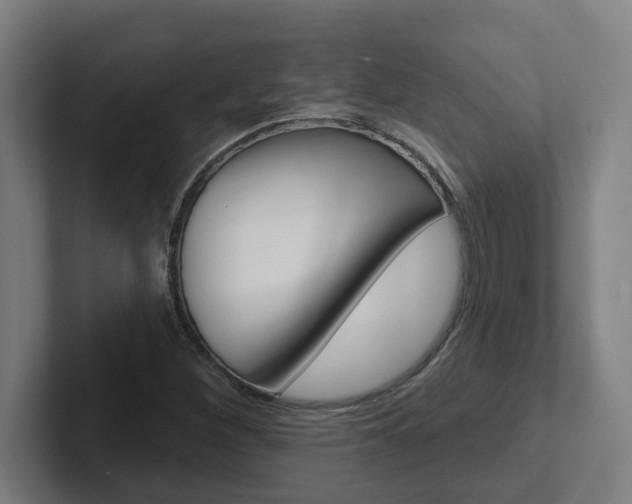 X0000102871260200808181038