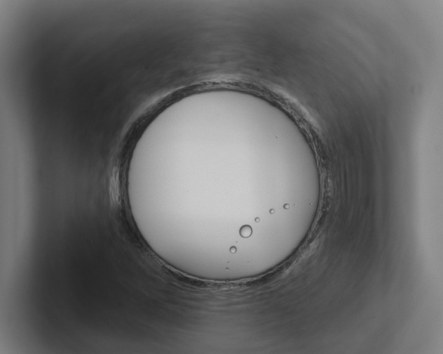 X0000102871262200808181038