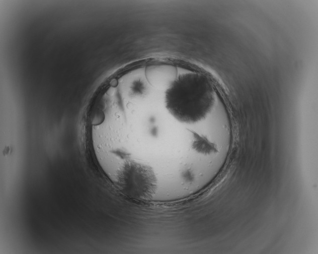 X0000102871263200808181038
