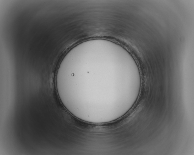 X0000102871265200808181038