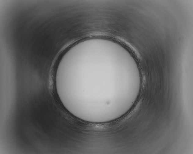 X0000102871266200808181038