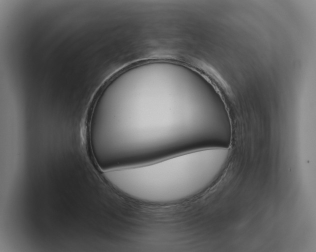 X0000102871268200808181038