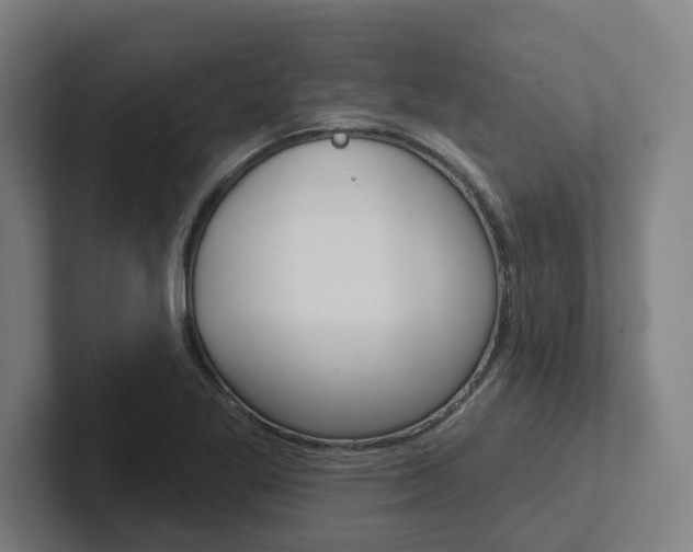 X0000102871269200808181038