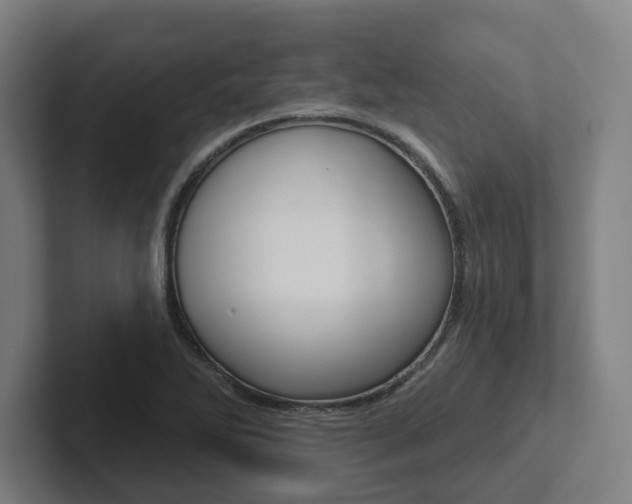 X0000102871270200808181038