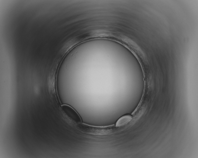X0000102871273200808181038