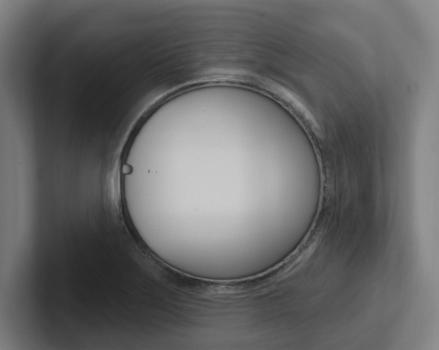 X0000102871275200808181038