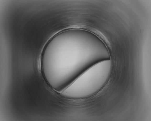 X0000102871276200808181038