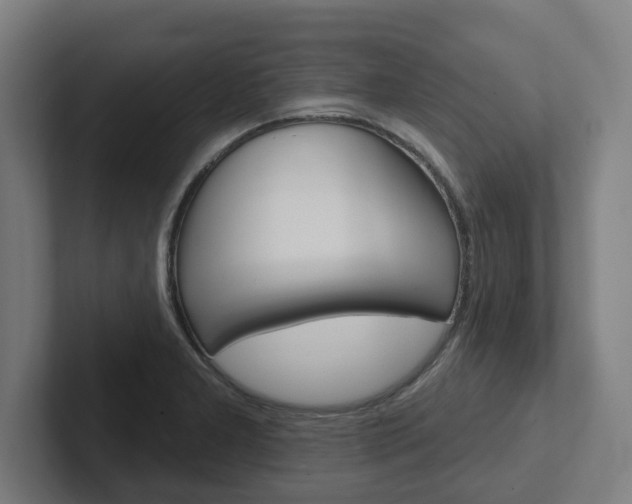 X0000102871277200808181038