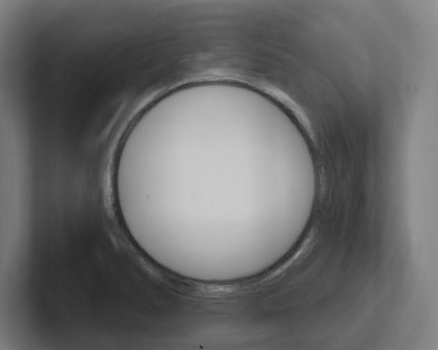 X0000102871278200808181038
