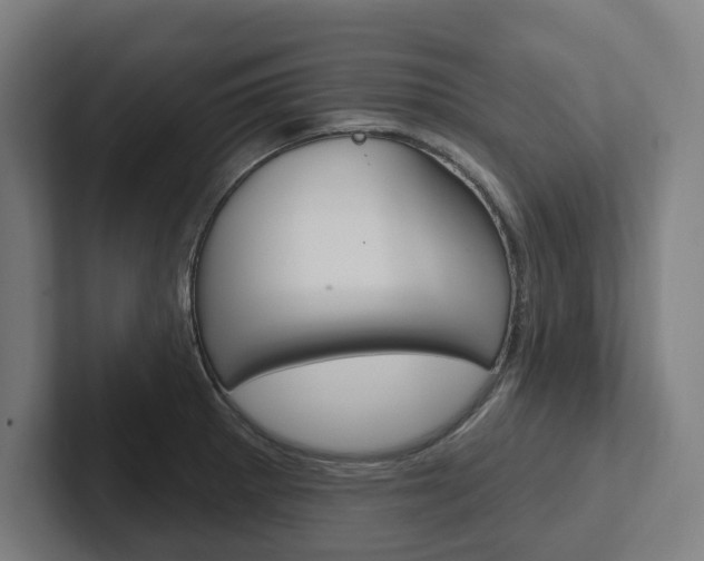 X0000102871281200808181038