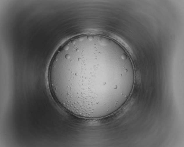 X0000102871283200808181038