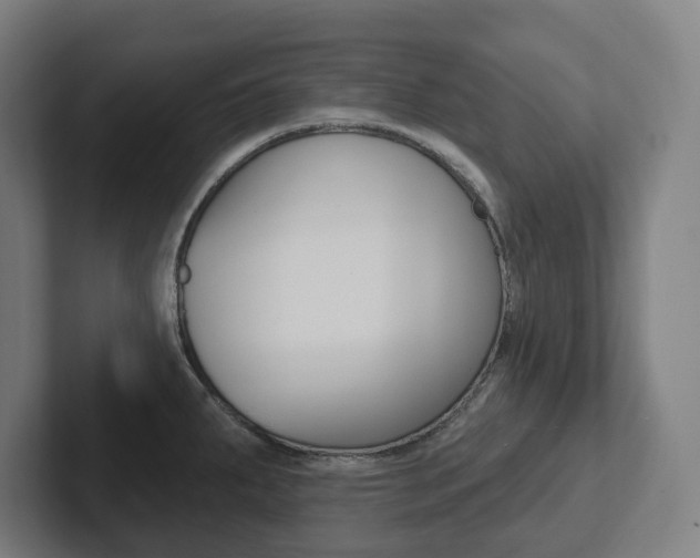 X0000102871287200808181038