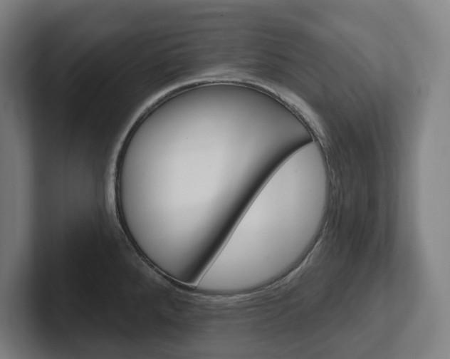 X0000102871288200808181038