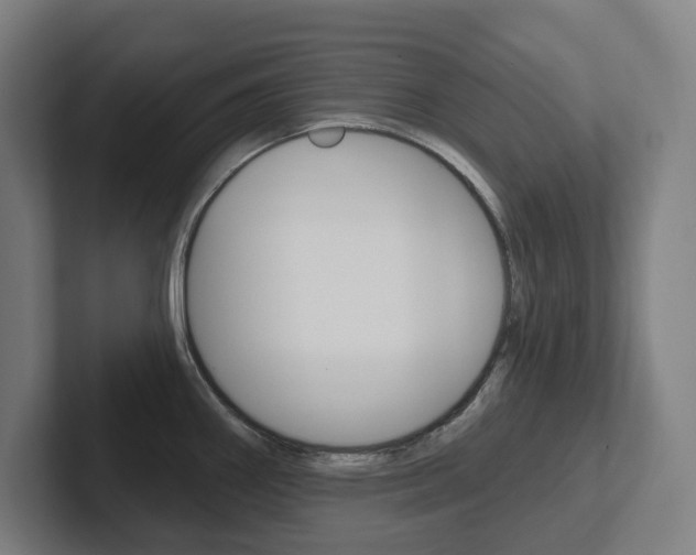 X0000102871290200808181038