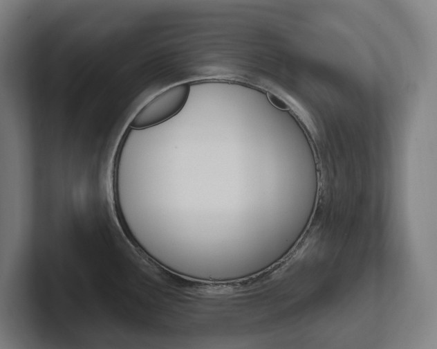 X0000102871291200808181038