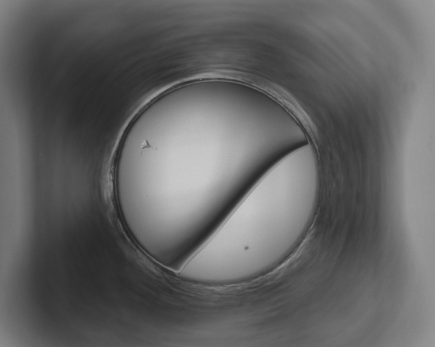 X0000102871292200808181038