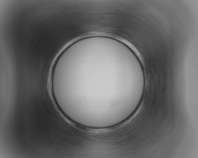 X0000102871294200808181038
