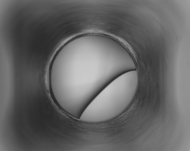 X0000102871295200808181038