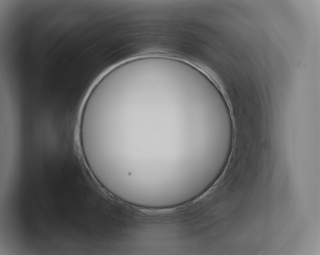 X0000102871296200808181038