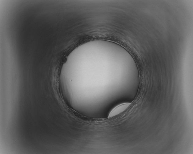 X0000102871297200808181037