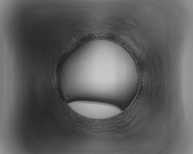 X0000102871298200808181037