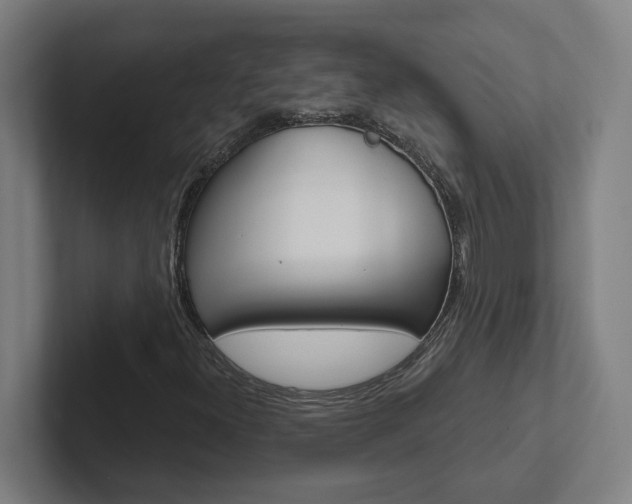 X0000102871300200808181037