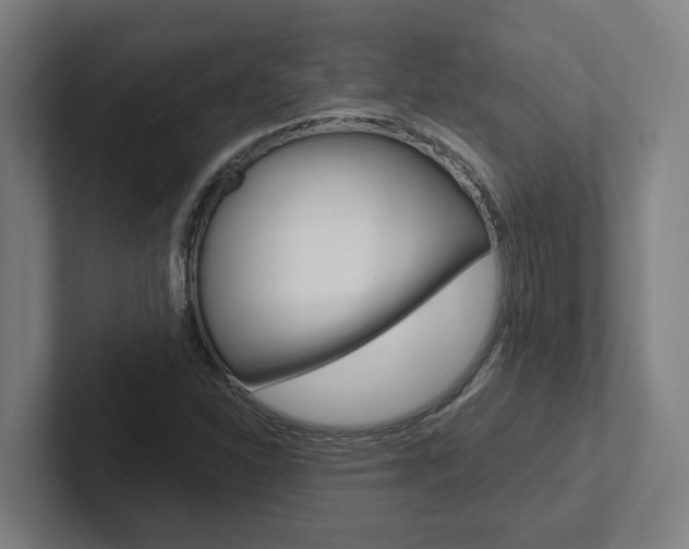 X0000102871310200808181037