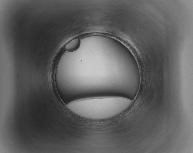 X0000102871312200808181037