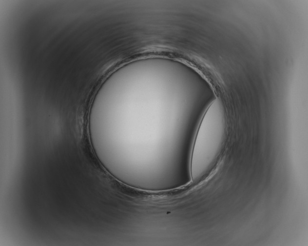 X0000102871313200808181037
