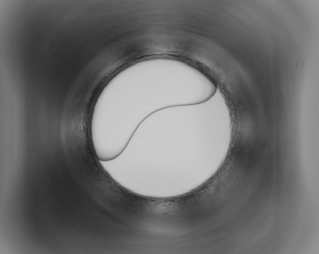 X0000102871314200808181037