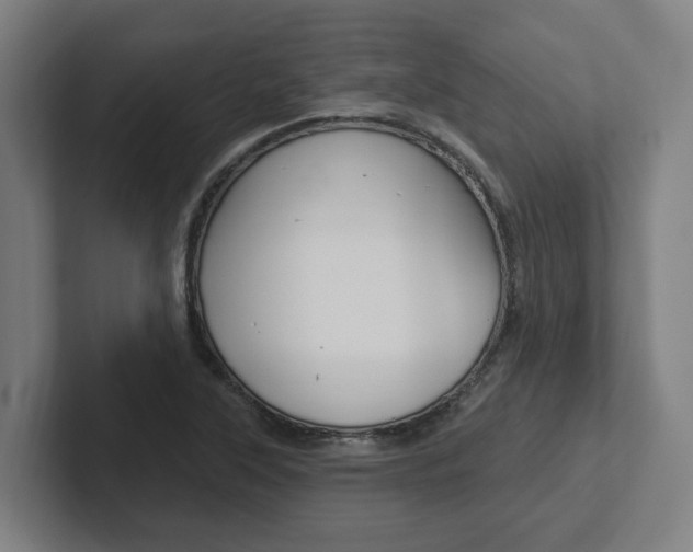 X0000102871315200808181037