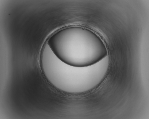X0000102871316200808181037