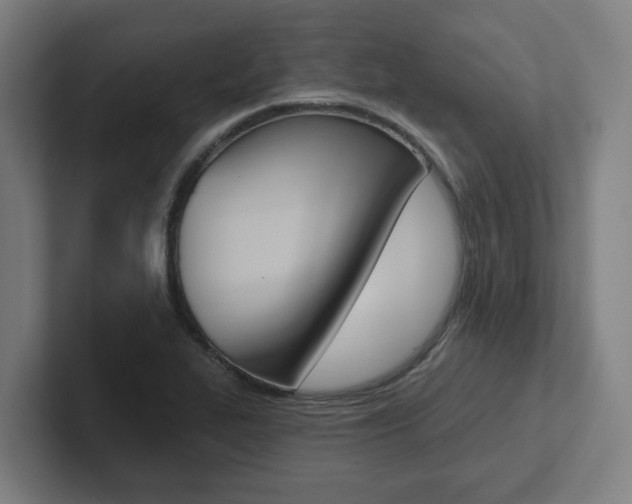 X0000102871319200808181038