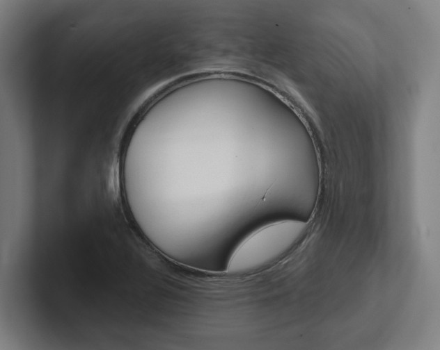X0000102871320200808181038