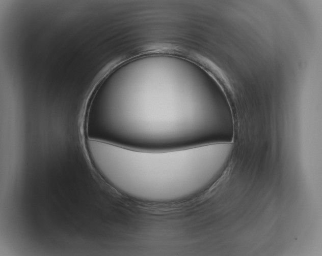 X0000102871330200808181038