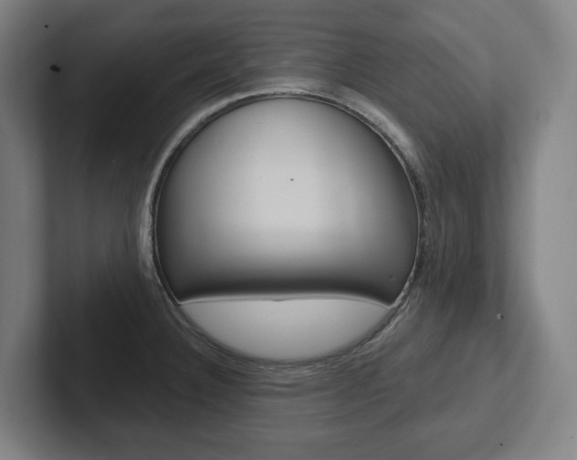 X0000102871332200808181038